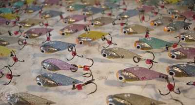 cykady szuszkiewicza